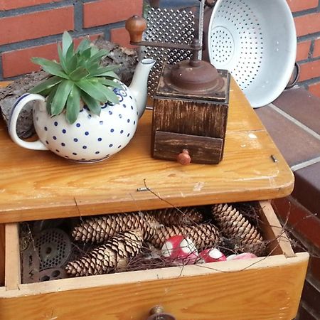 Ferienhaus Emstal In Oberlangen Lathen Luaran gambar